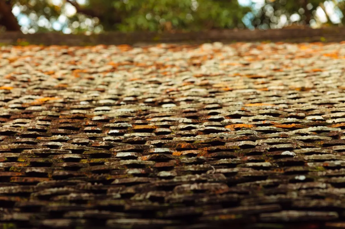Aging shingle roof with moss growth and granule loss in Sanford, FL